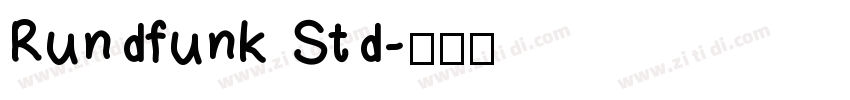 Rundfunk Std字体转换